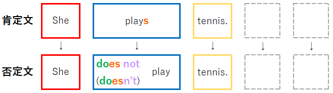 三単現の疑問文と否定文の作り方 分かりやすい図解付き ぽぽの勉強部屋